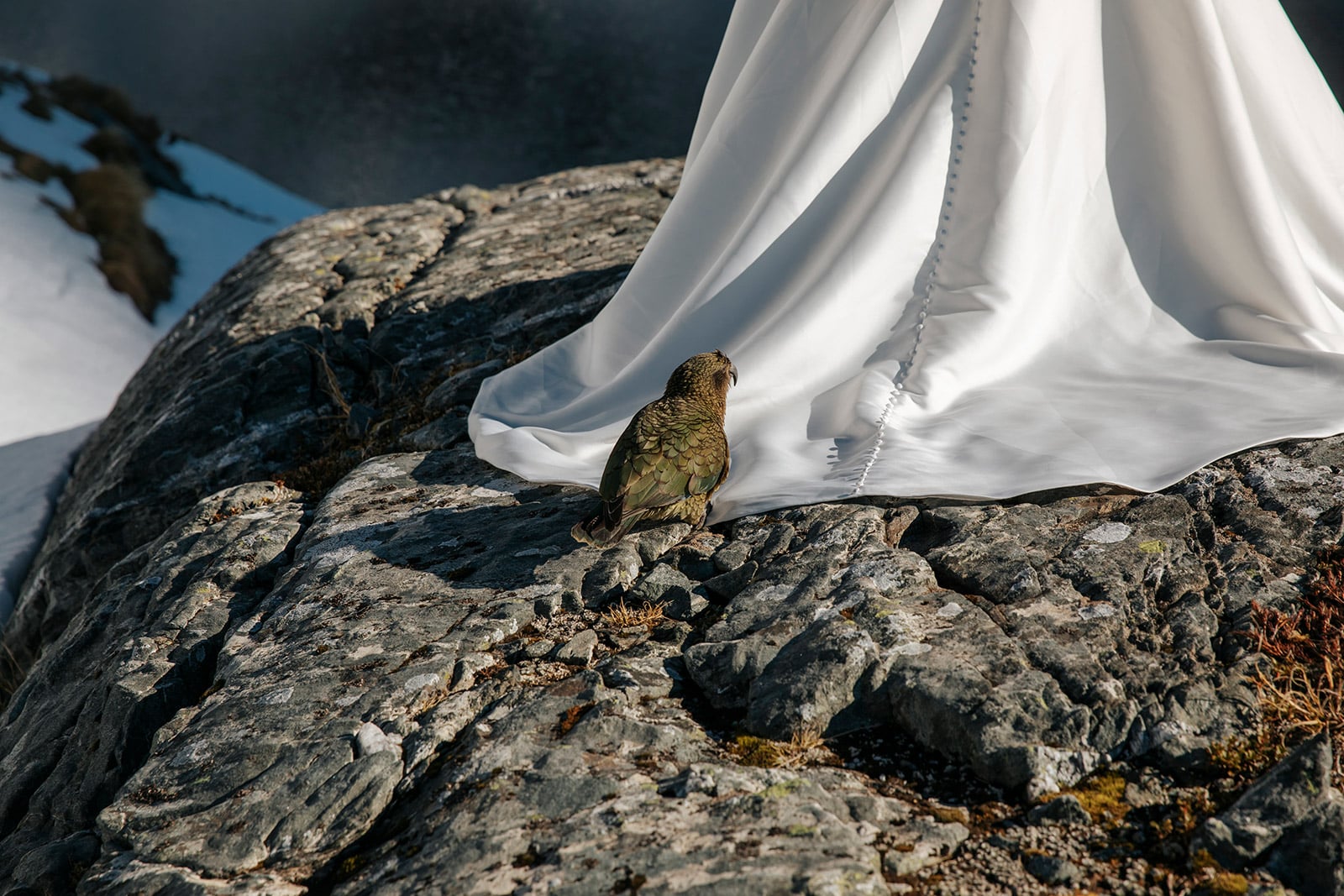 Milford sounds Wedding package in Queenstown